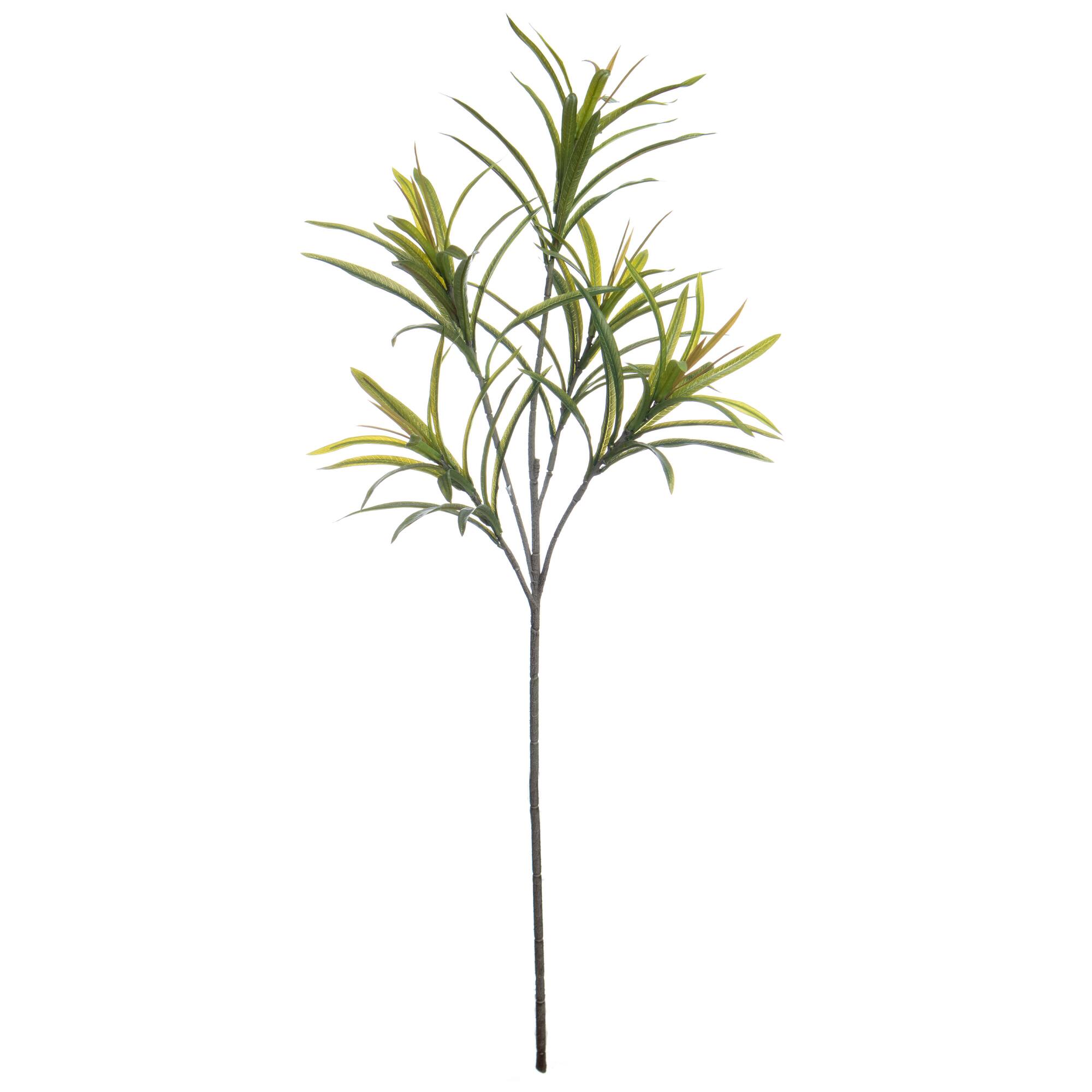 16" Green Dracaena Leaf Stem by Ashland®